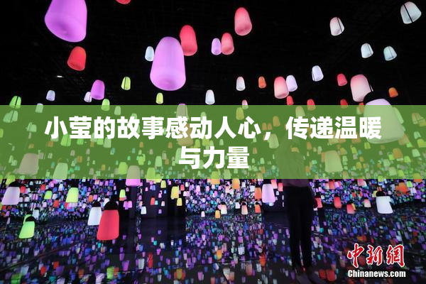 小莹的故事感动人心，传递温暖与力量