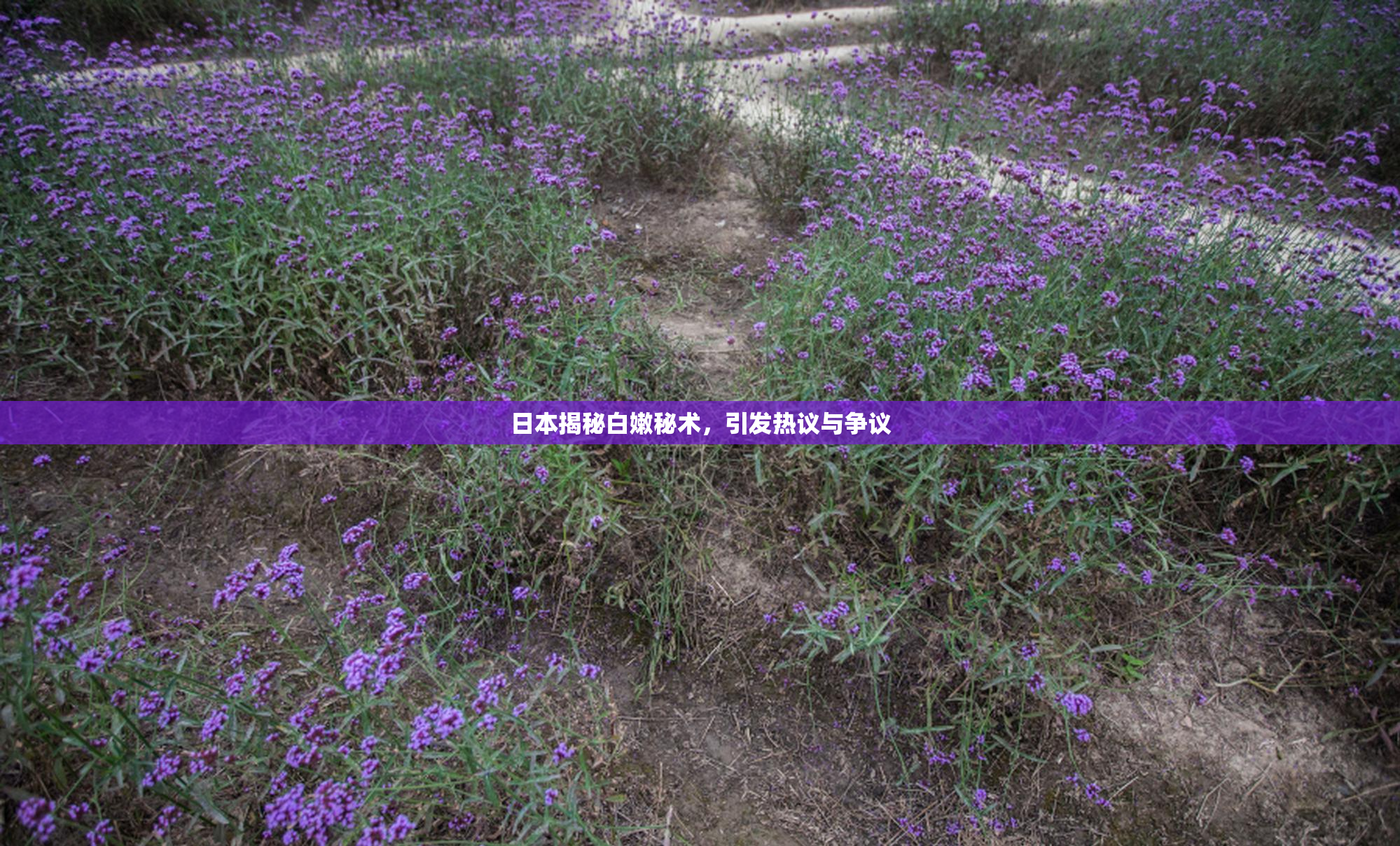 日本揭秘白嫩秘术，引发热议与争议