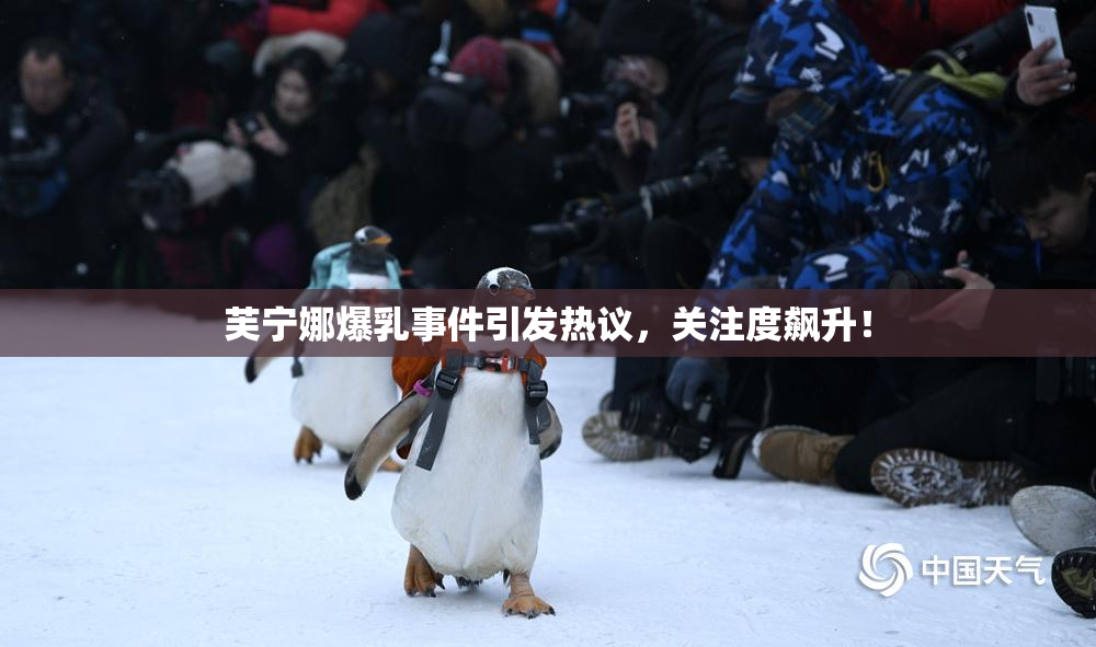 芙宁娜爆乳事件引发热议，关注度飙升！