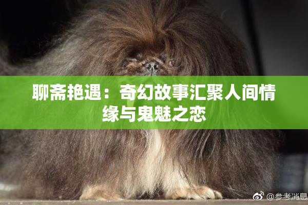 聊斋艳遇：奇幻故事汇聚人间情缘与鬼魅之恋