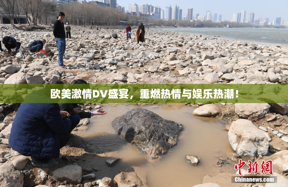 欧美激情DV盛宴，重燃热情与娱乐热潮！