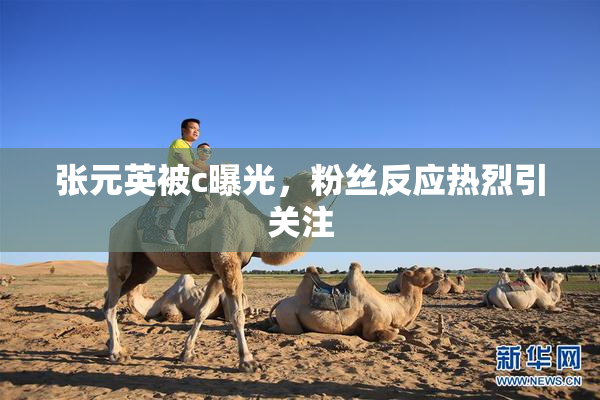 张元英被c曝光，粉丝反应热烈引关注