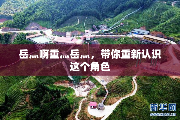 岳灬啊重灬岳灬，带你重新认识这个角色