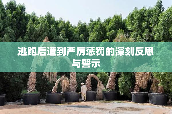 逃跑后遭到严厉惩罚的深刻反思与警示