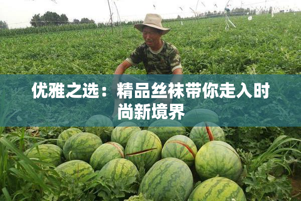 优雅之选：精品丝袜带你走入时尚新境界