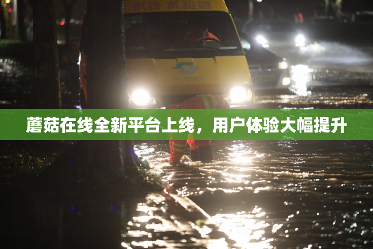 蘑菇在线全新平台上线，用户体验大幅提升