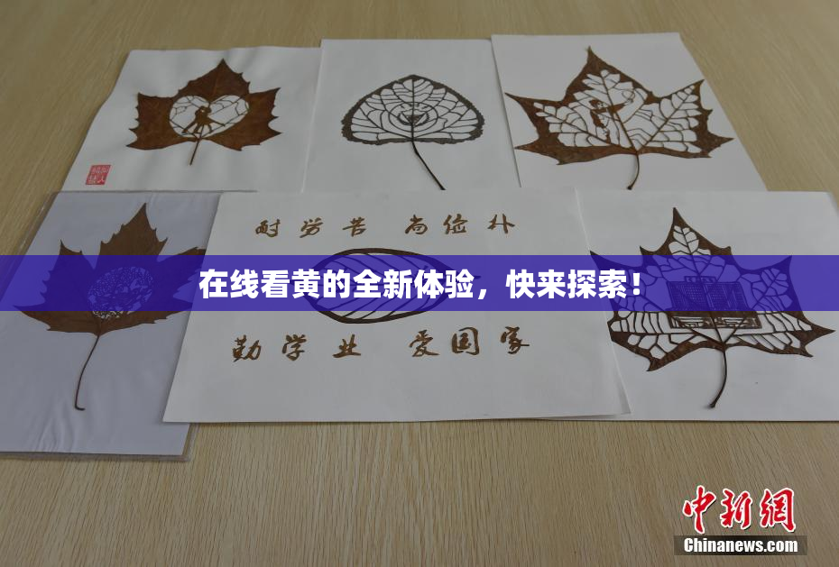 在线看黄的全新体验，快来探索！
