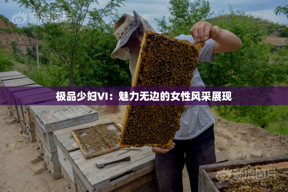 极品少妇VI：魅力无边的女性风采展现