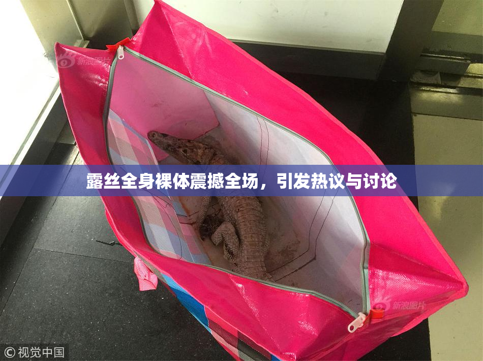 露丝全身裸体震撼全场，引发热议与讨论