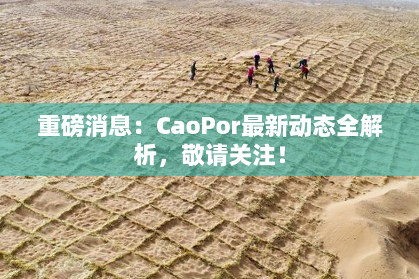 重磅消息：CaoPor最新动态全解析，敬请关注！