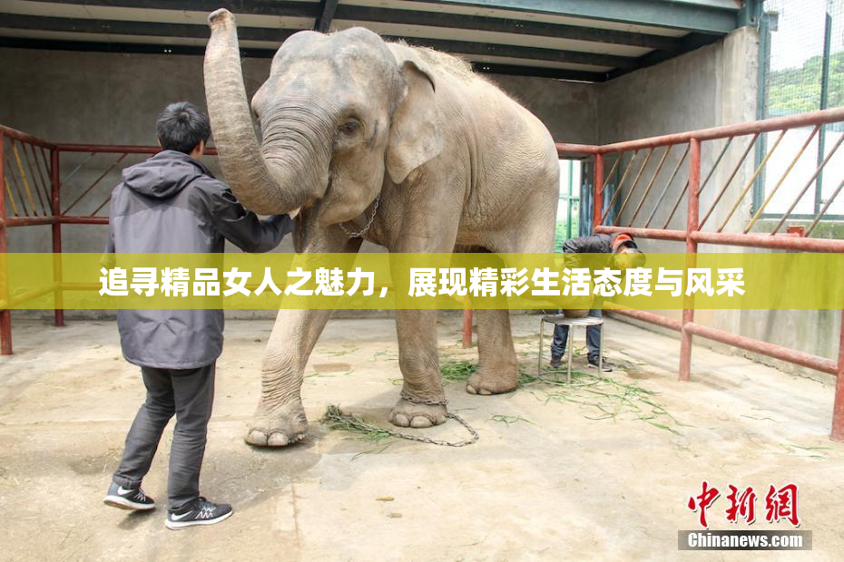 追寻精品女人之魅力，展现精彩生活态度与风采