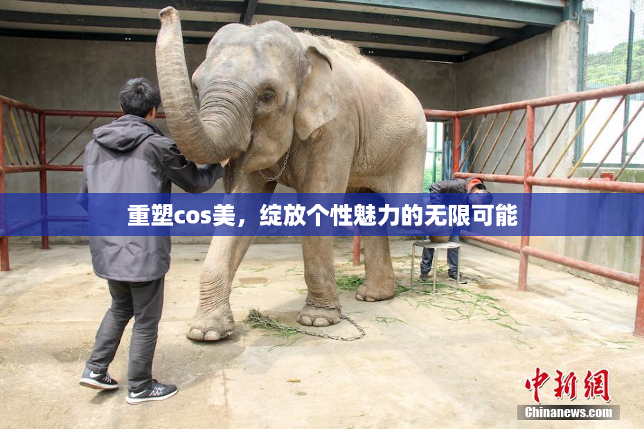 重塑cos美，绽放个性魅力的无限可能
