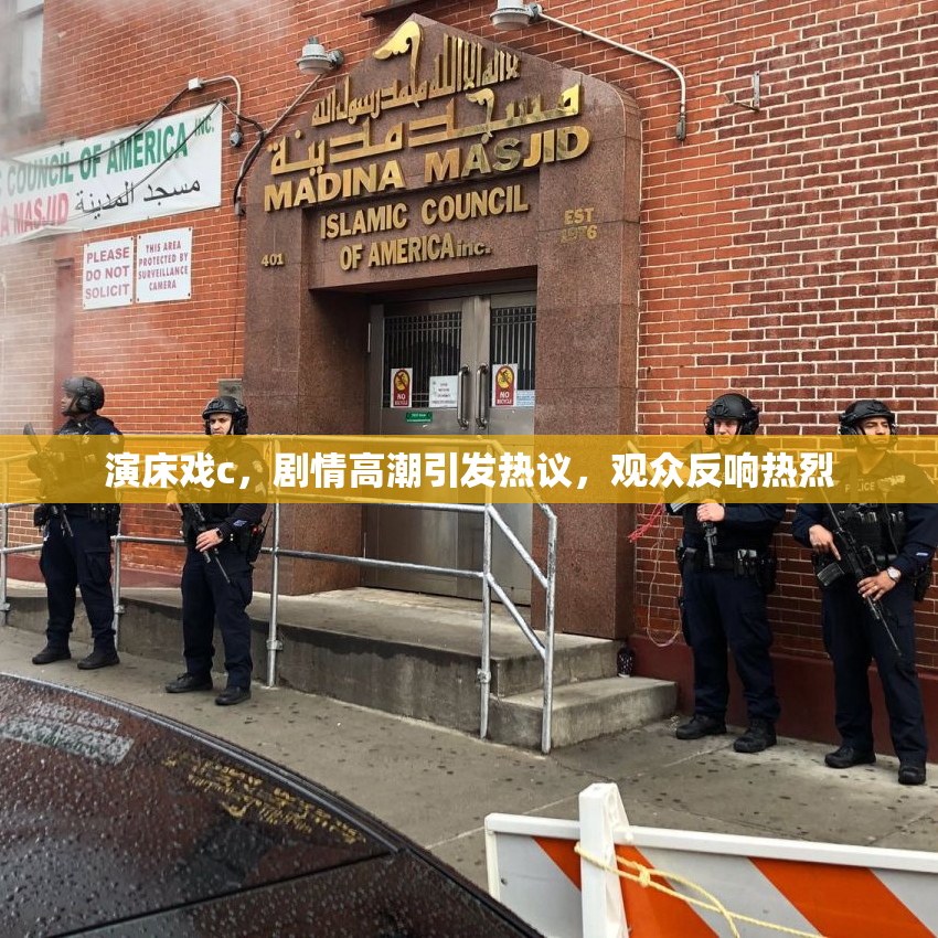 演床戏c，剧情高潮引发热议，观众反响热烈