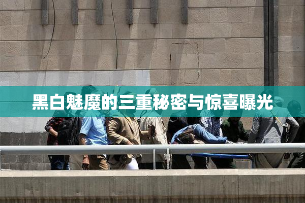 黑白魅魔的三重秘密与惊喜曝光