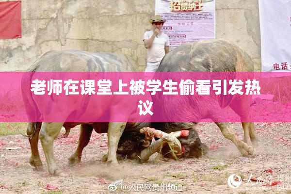 老师在课堂上被学生偷看引发热议
