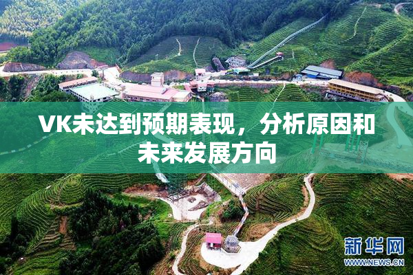 VK未达到预期表现，分析原因和未来发展方向