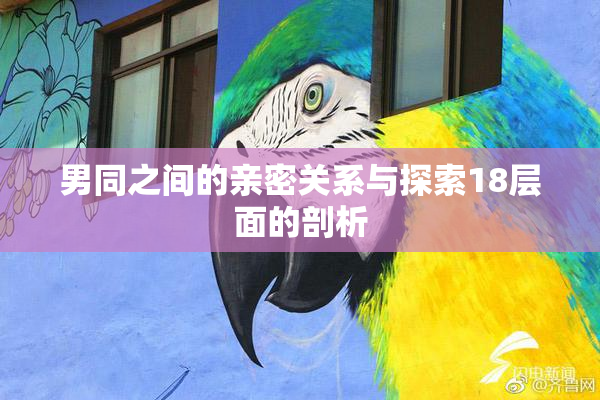男同之间的亲密关系与探索18层面的剖析