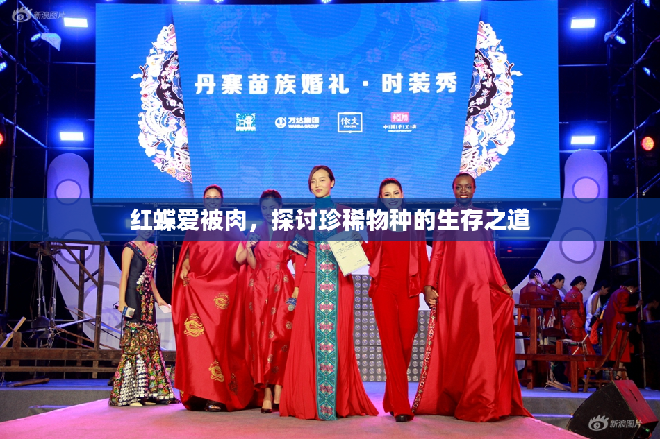 红蝶爱被肉，探讨珍稀物种的生存之道