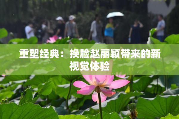 重塑经典：换脸赵丽颖带来的新视觉体验