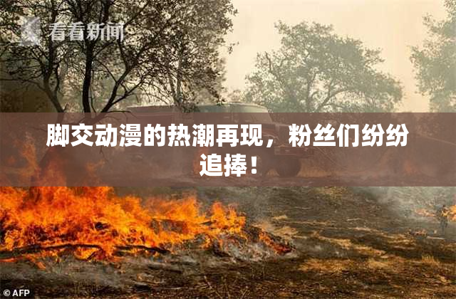 脚交动漫的热潮再现，粉丝们纷纷追捧！