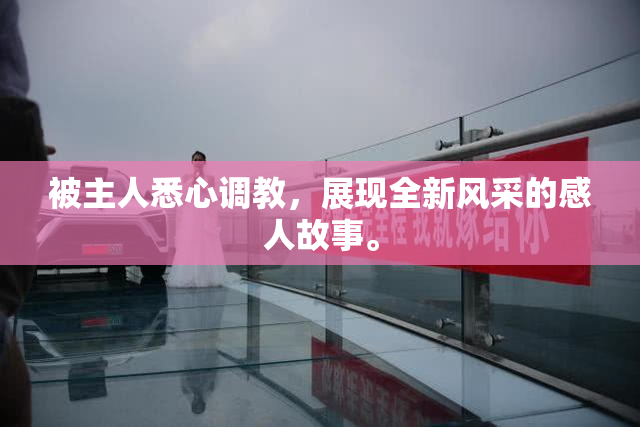被主人悉心调教，展现全新风采的感人故事。