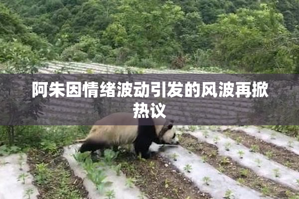 阿朱因情绪波动引发的风波再掀热议