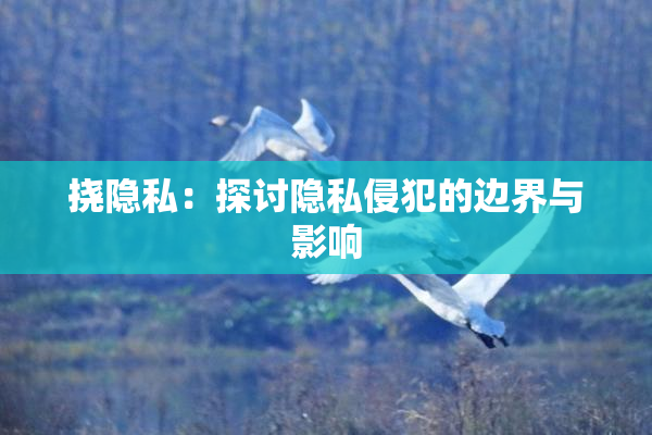挠隐私：探讨隐私侵犯的边界与影响