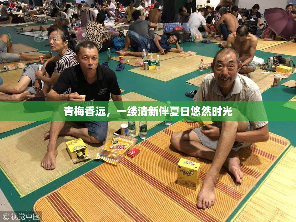 青梅香远，一缕清新伴夏日悠然时光
