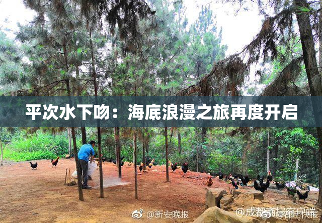 平次水下吻：海底浪漫之旅再度开启
