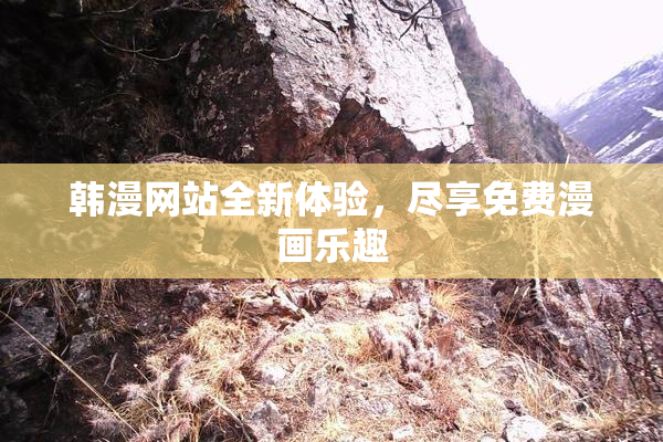 韩漫网站全新体验，尽享免费漫画乐趣