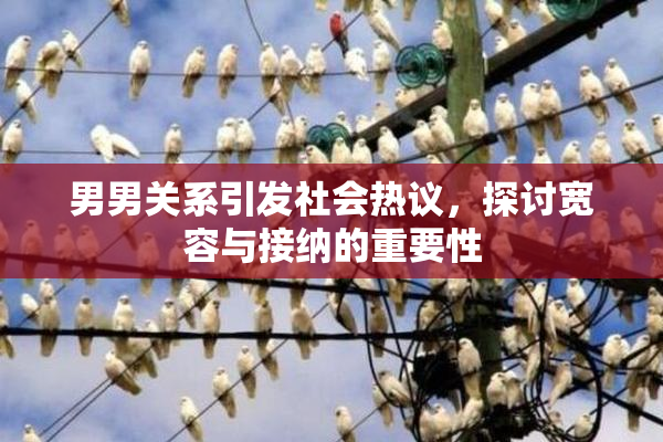 男男关系引发社会热议，探讨宽容与接纳的重要性