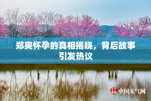 郑爽怀孕的真相揭晓，背后故事引发热议