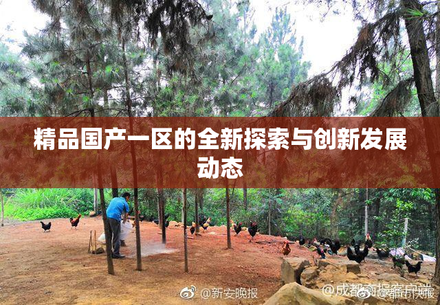 精品国产一区的全新探索与创新发展动态