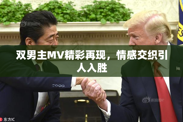 双男主MV精彩再现，情感交织引人入胜