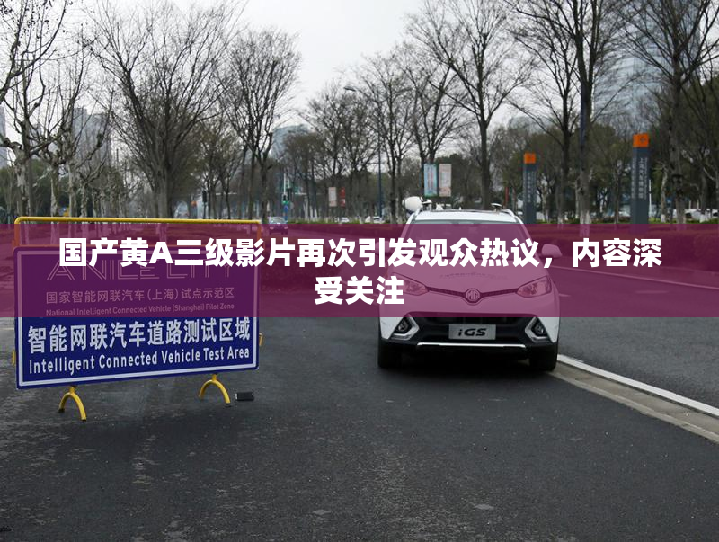 国产黄A三级影片再次引发观众热议，内容深受关注