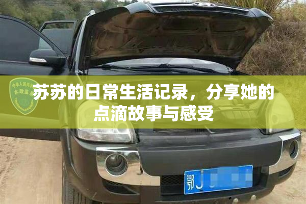 苏苏的日常生活记录，分享她的点滴故事与感受