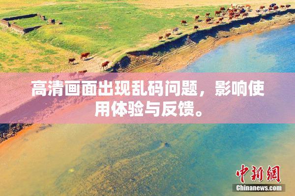 高清画面出现乱码问题，影响使用体验与反馈。