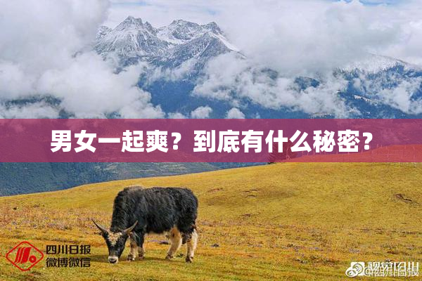 男女一起爽？到底有什么秘密？