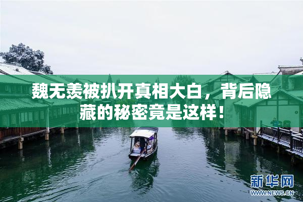 魏无羡被扒开真相大白，背后隐藏的秘密竟是这样！