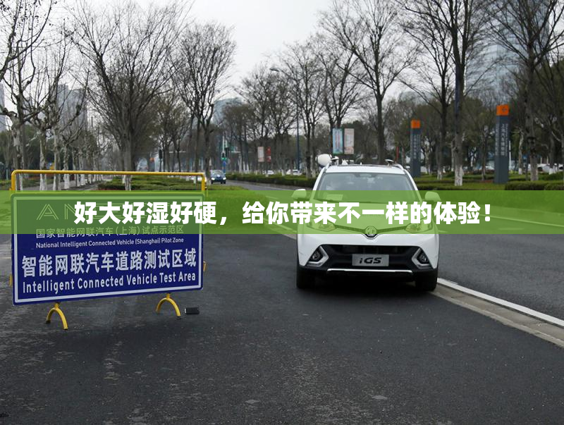 好大好湿好硬，给你带来不一样的体验！