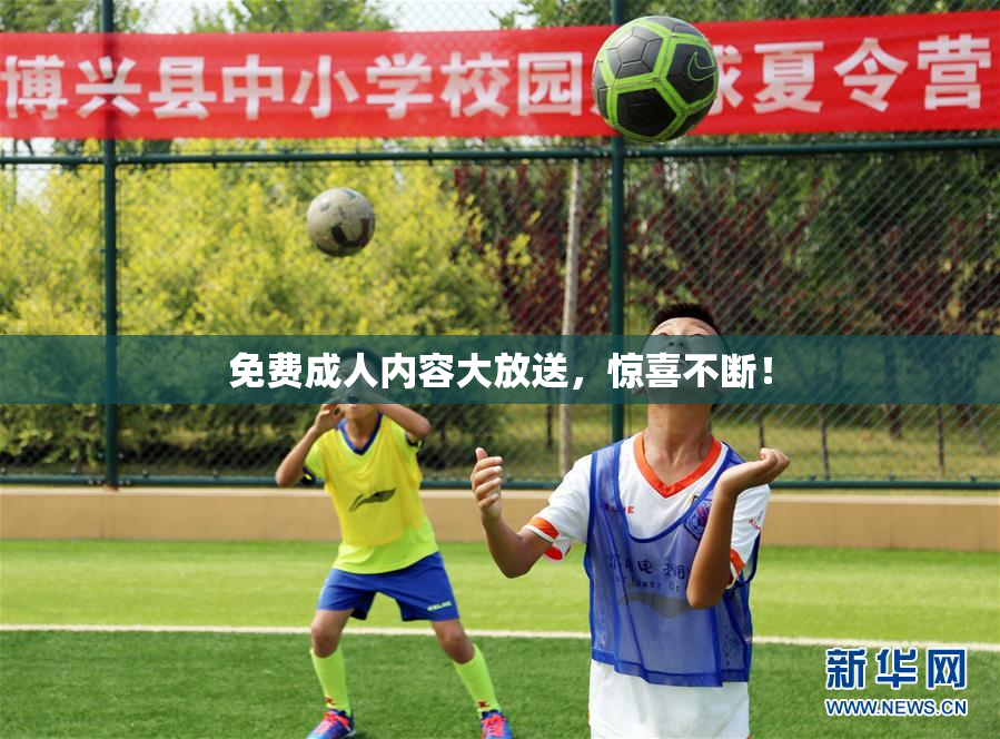 免费成人内容大放送，惊喜不断！