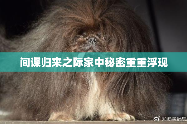 间谍归来之际家中秘密重重浮现