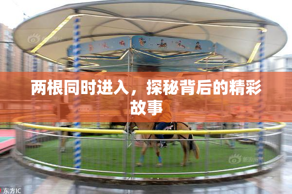两根同时进入，探秘背后的精彩故事
