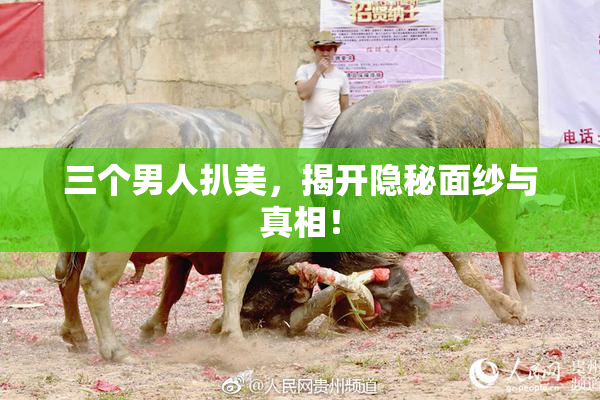 三个男人扒美，揭开隐秘面纱与真相！