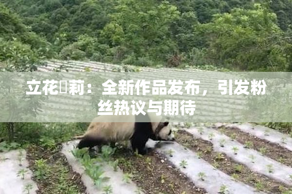 立花瑠莉：全新作品发布，引发粉丝热议与期待