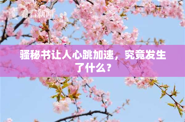 骚秘书让人心跳加速，究竟发生了什么？