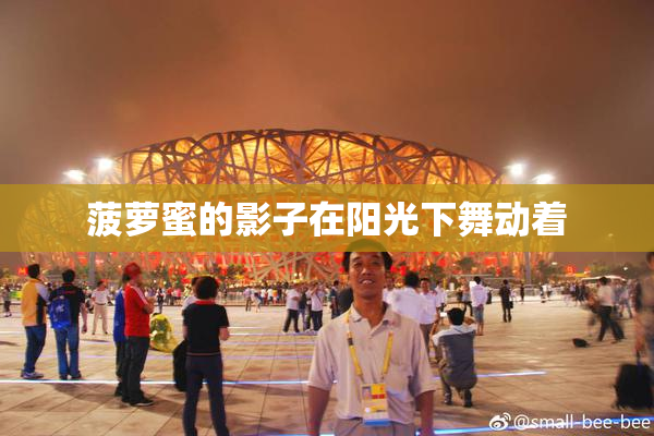 菠萝蜜的影子在阳光下舞动着