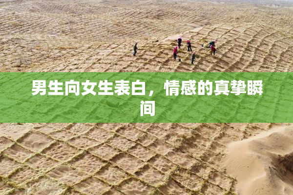 男生向女生表白，情感的真挚瞬间