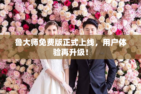 鲁大师免费版正式上线，用户体验再升级！