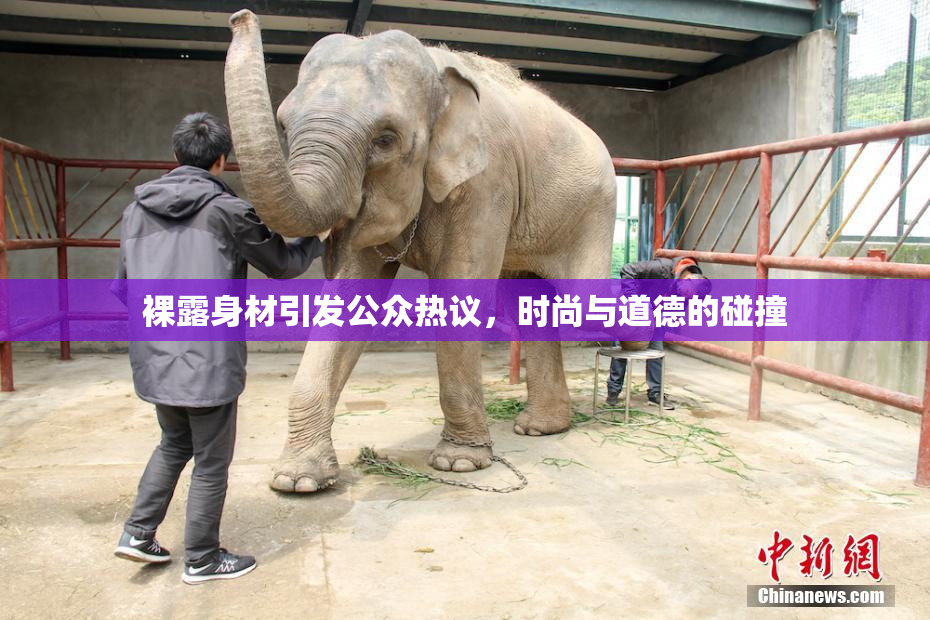 裸露身材引发公众热议，时尚与道德的碰撞